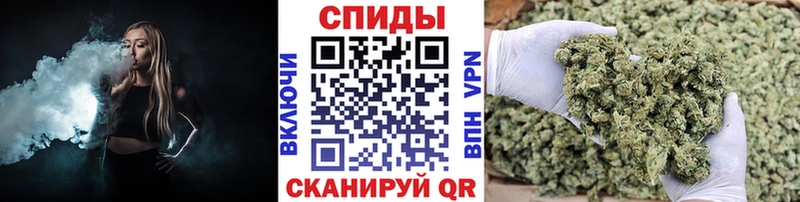 дарнет шоп  Суджа  Бутират BDO 