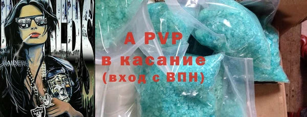 стафф Арсеньев
