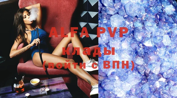 стафф Арсеньев