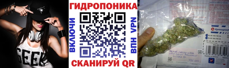 Бошки Шишки планчик  hydra вход  Суджа 